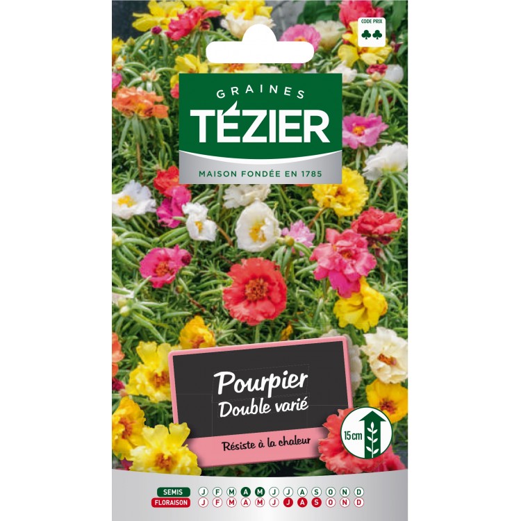 Tezier - Pourpier double varié -- Fleurs annuelles