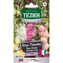Tezier - Rose Trémière race Chater mélange extra