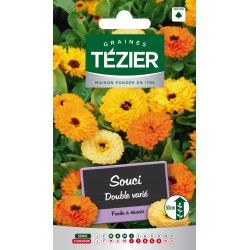 Tezier - Souci double varié -- Fleurs annuelles