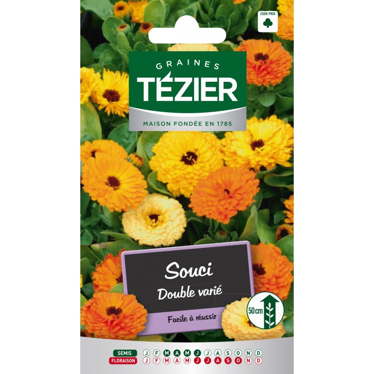 Tezier - Souci double varié -- Fleurs annuelles