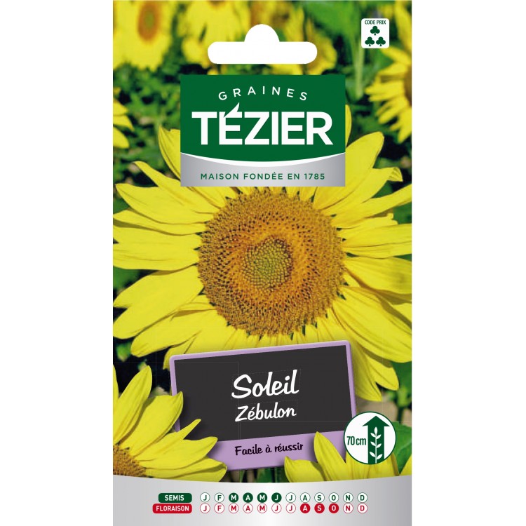 Tezier - Soleil Zébulon -- Fleurs annuelles