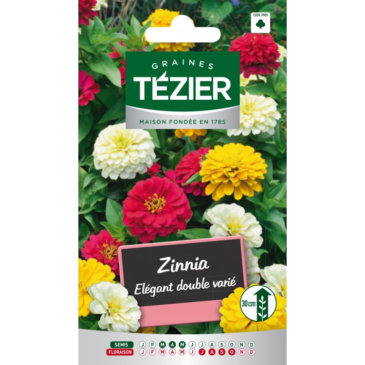 Tezier - Zinnia Elégant double varié -- Fleurs annuelles