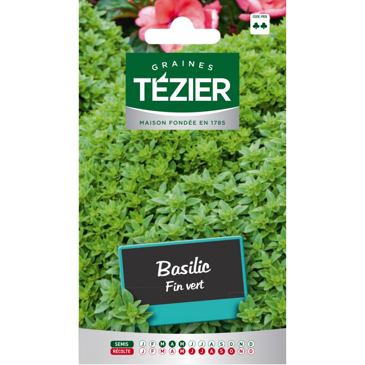 Tezier - Basilic Fin vert