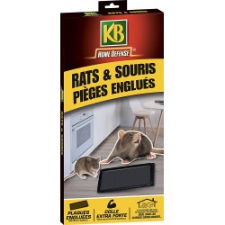 KB Home Défense - Piège à glu pour rats et souris