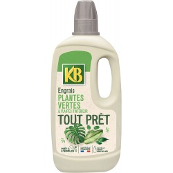 KB Engrais Tout Prêt Plantes Vertes Et Plantes D'intérieur 1L ( KBTPVN )
