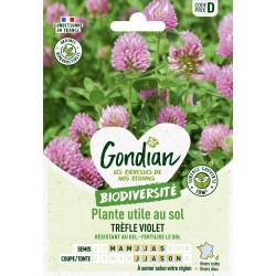 Gondian - Plante utile au sol Trefle violet