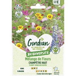 Gondian - Melange de fleurs champetre haut