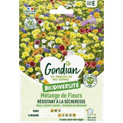 Gondian - Mélange de fleurs Résistant a la Secheresse