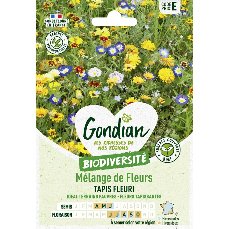 Gondian - Melange de fleurs Taois Fleuri