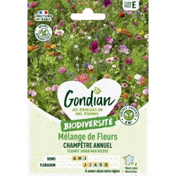 Gondian - melange de fleurs floraison rapide champetre annuel
