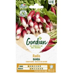 Gondian - Radis Bamba
