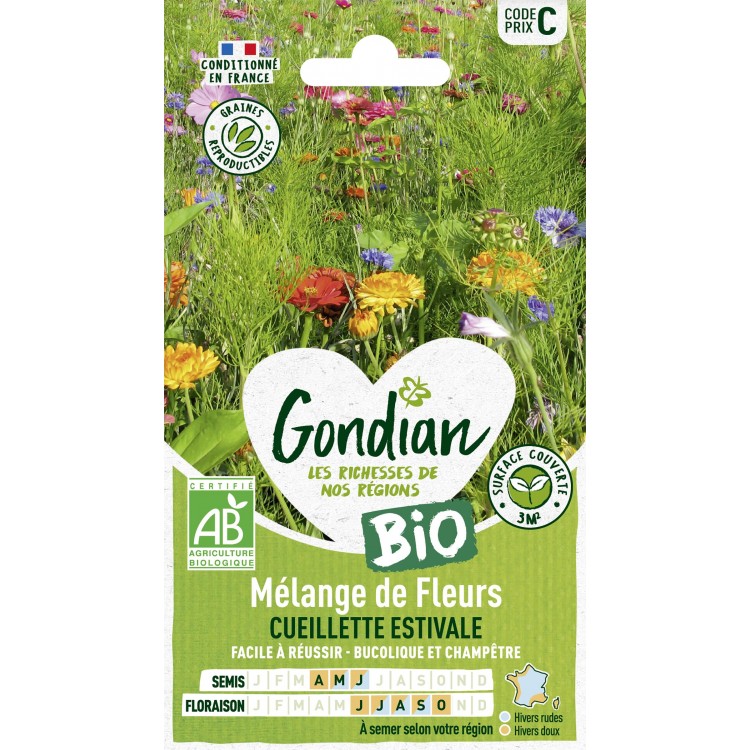 Gondian - mélange de Fleurs cueilette Estivale