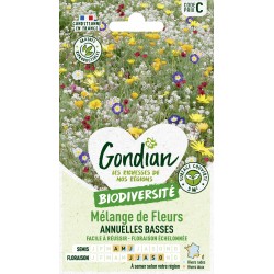 Gondian - Melange de fleurs Annuelles Basses