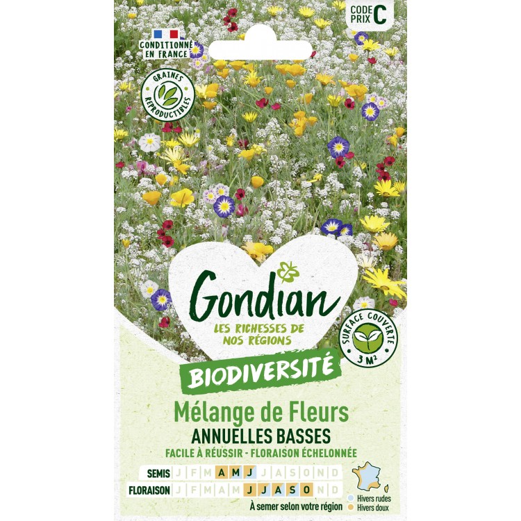 Gondian - Melange de fleurs Annuelles Basses