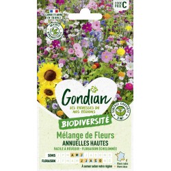 Gondian - melange de fleurs annuelles hautes