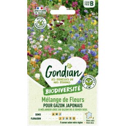 Gondian - Melange de fleurs pour gazon japonais