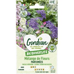 Gondian - Mélange de fleurs Parfumées bio