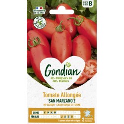 Gondian - Tomate Allongée San Marzano