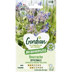 Gondian - Bourrache Officinal