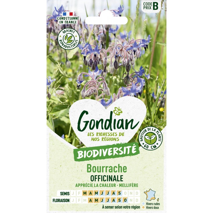 Gondian - Bourrache Officinal