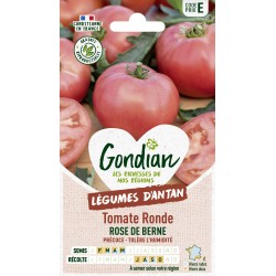 Gondian - Tomate Ronde Rose de berne