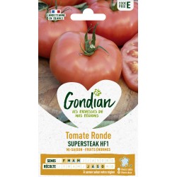 Gondian - Tomate ronde supersteak hf1