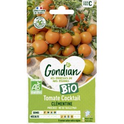 Gondian - Tomate Cocktail clémentine