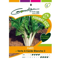 Gondian - Poirée Verte a Carde Blanche 3 format eco