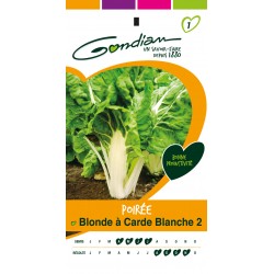 Gondian - Poirée Blonde a Carde Blanche 2