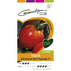 Gondian - Tomate Montfavet 63.5 Hybride F1