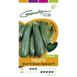 Gondian - Courgette Storr's Green Hybride F1