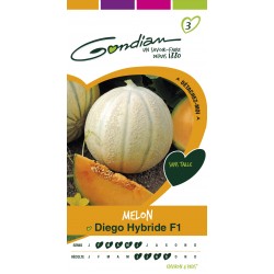 Gondian - Melon Diego Hybride F1