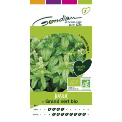 Gondian - basilic grand vert bio