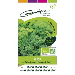 Gondian - persil frisé vert foncé bio