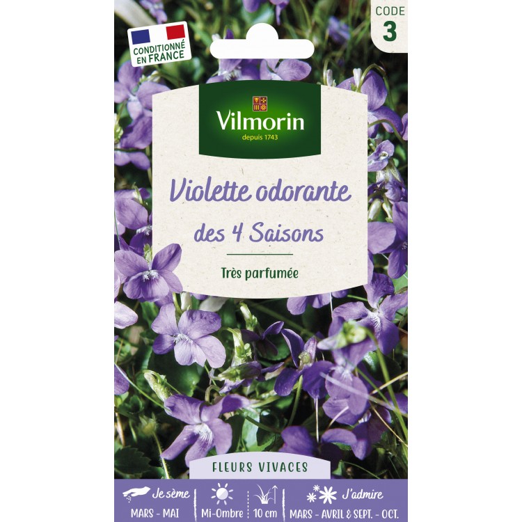 vilmorin sachet de graines Violette odorante 4 saisons