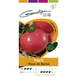 Gondian - Tomate Rose de Berne