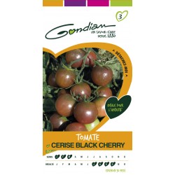 Gondian - Tomate Cerise black cherry