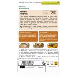 Vilmorin sachet de graines