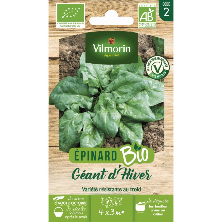 Vilmorin sachet de graines épinard géant d'hiver Bio