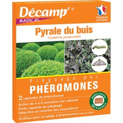 Decamp pheromone pyrale du buis