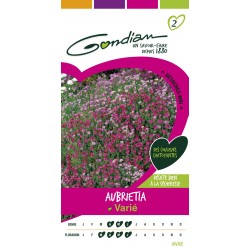 Gondian - Aubrietia