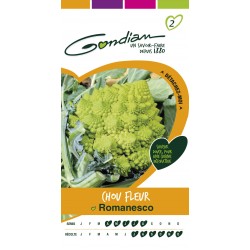 Gondian - Chou Fleur Romanesco