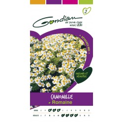 Gondian - Camomille Romaine