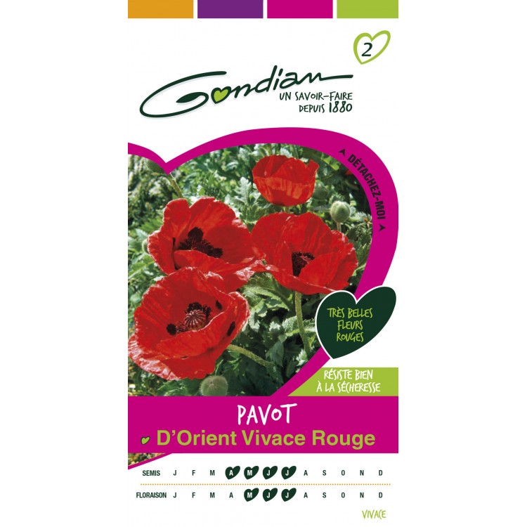 Gondian - Pavot D'orient Vivace Rouge