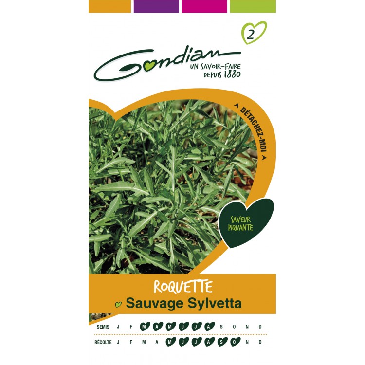 Gondian - Roquette Sauvage Sylvetta