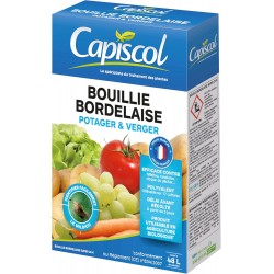 SOLABIOL Bouillie bordelaise | Étui 300 G