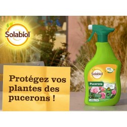 SOLABIOL Traitement pucerons prêt-à-l ‘Emploi Pulvérisateur 750ml