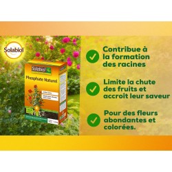 SOLABIOL Phosphate Naturel - 1,5 Kg - Engrais pour Arbustes Fleurs et Fruits SOP