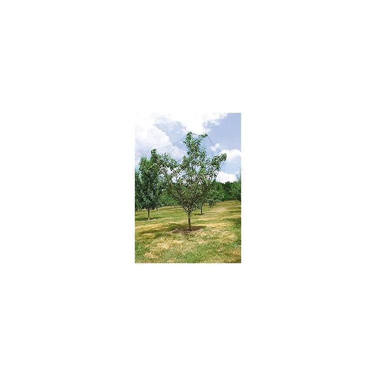 Vilmorin - filet anti-oiseaux 2X5 M