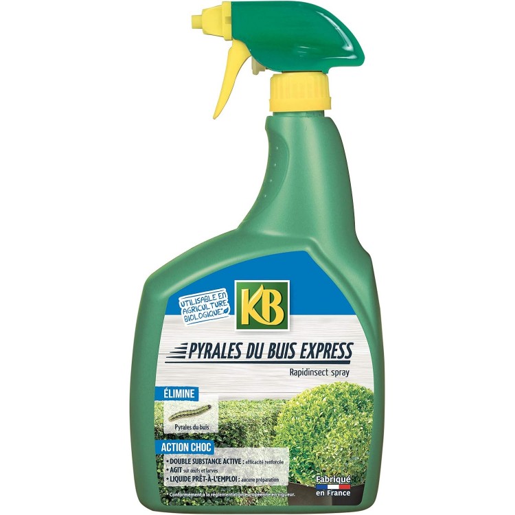 KB- YR700 PYRALE EXPRESS PAE 12X700ML
